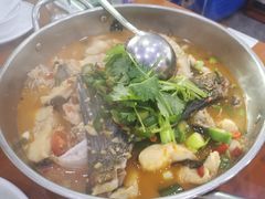 -全乐鱼馆·淳牌有机鱼直营店