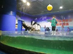 -重庆欢乐海底世界