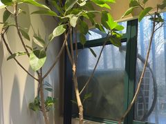 -一江水食府(后湖店)