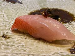 寿司-桐寿司Sushi Tong