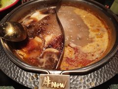 -牛New寿喜烧(金鹰世界店)