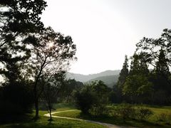 -杭州植物园