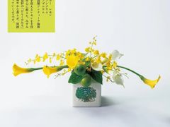 -今日陶艺(富力广场店)