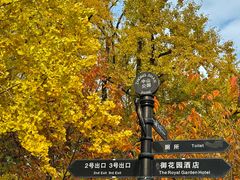 -中山公园