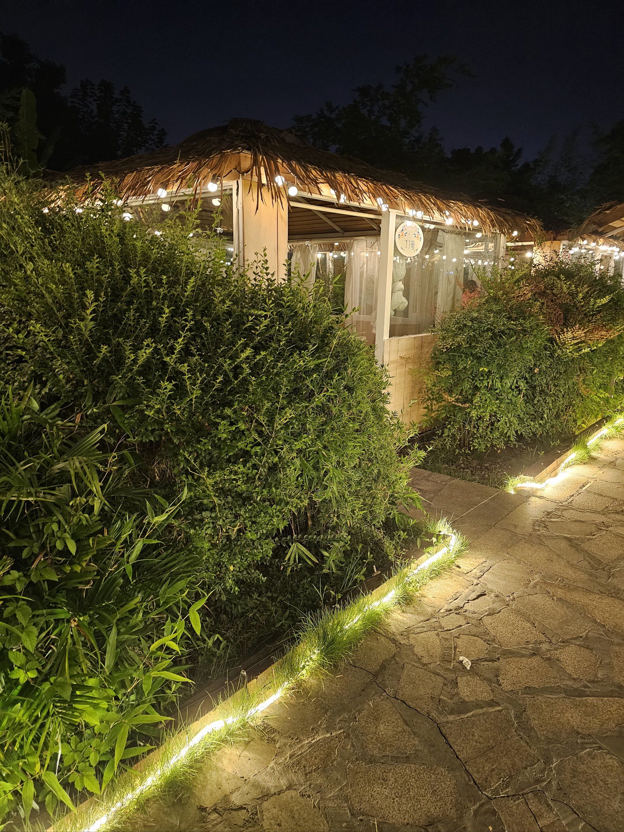 古色古香的庭院夜色