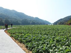 景点-广州市石门国家森林公园