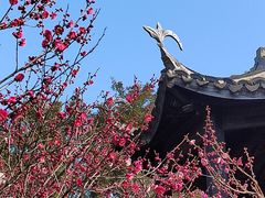 -无锡梅园公园