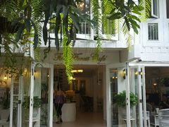 -Fern Forest Cafe