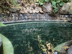 -荷花温泉