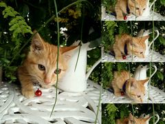 -广州迷途主题旅馆(海珠广场店)