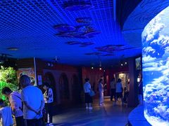 -太平洋海底世界