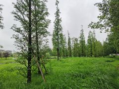 -两河城市森林公园