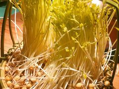 -大头椰·椰子鸡火锅(南宁万象城店)