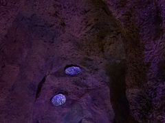 -碧涛阁·泡泡海洋·汤泉洗浴(王府花园店)