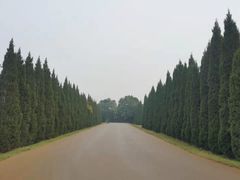 -汉景帝阳陵博物院