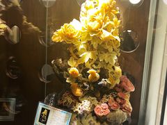 -伯衡55·吉品轩(乌鲁木齐南路店)