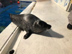 -成都浩海立方海洋公园