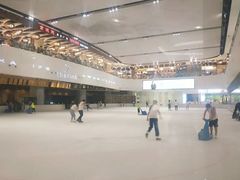 -TheRink大零溜冰场(IFS国金中心店)
