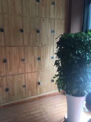 -明洞造型精品烫染