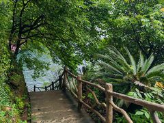 -仙岛湖旅游风景区