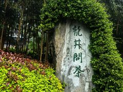 -十八棵（老龙井）御茶园(老龙井店)