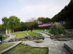 -昆山城市生态森林公园