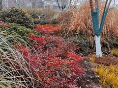 -李记搅团•非遗陕菜(三桥店)