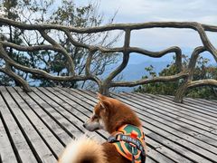 -罗田薄刀峰风景区