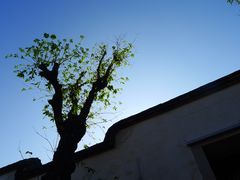 -南后街-郎官巷