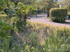 绿化-白沙门生态公园