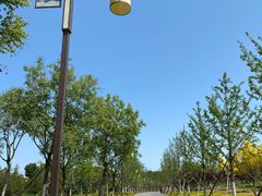-张家湾公园