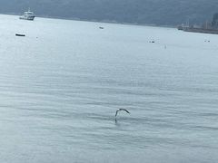 -乌石塘景区