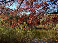 -国家植物园南园