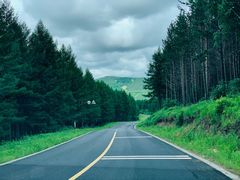 -塞罕坝国家级自然保护区