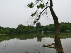 -盘龙城国家考古遗址公园