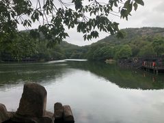 -白马涧龙池景区