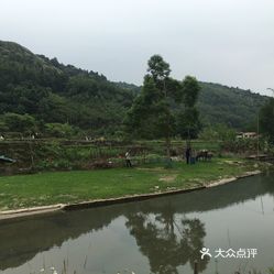 四会市人均_四会市人民医院图片