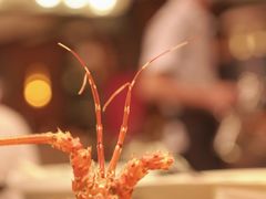 -同禧荟·港味海鲜火锅·粤菜(三亚湾店)
