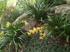 -西湖外事游船(花港观鱼码头)