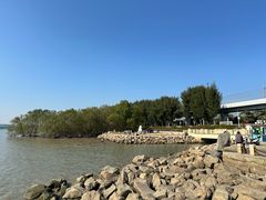 -宝安西湾红树林湿地公园