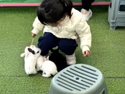 -萌宠亲子动物乐园(槐房万达店)