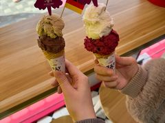 -EIS ENGELCHEN艾斯辛尔