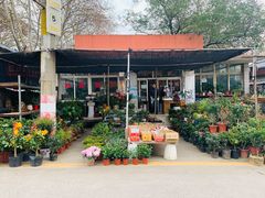 -金陵花卉交易市场