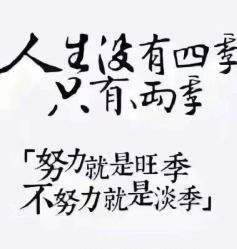 -GT潮朴美业