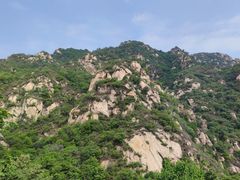 -大岭沟猕猴桃谷风景区