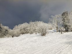 -大秃顶子山