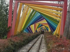 -合肥滨湖国家森林公园