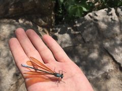 -碓臼峪自然风景区