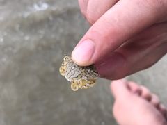 -嵊泗基湖沙滩
