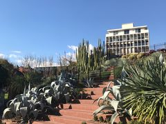 -墨尔本皇家植物园